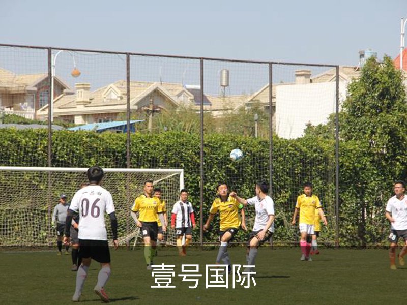 了解壹号国际